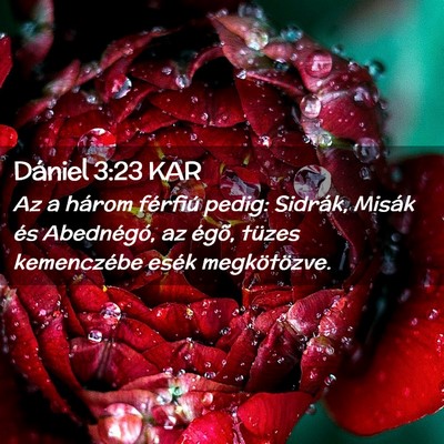 Picture 02 - Dániel 3:23 KAR - Az a három férfiú pedig: Sidrák, Misák és - Bible Verse Picture
