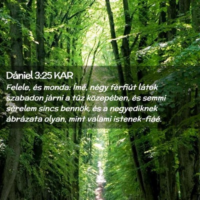 Picture 02 - Dániel 3:25 KAR - Felele, és monda: Ímé, négy férfiút látok - Bible Verse Picture