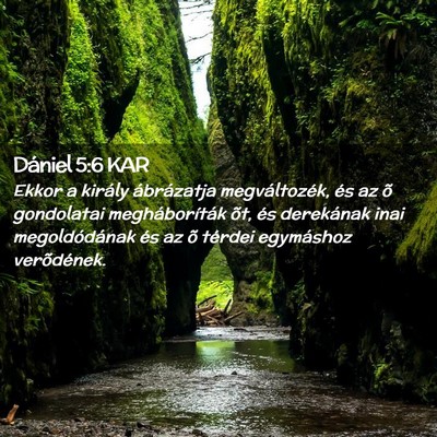Picture 02 - Dániel 5:6 KAR - Ekkor a király ábrázatja megváltozék, és az - Bible Verse Picture