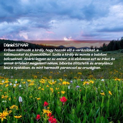 Picture 02 - Dániel 5:7 KAR - Erõsen kiáltozék a király, hogy hozzák elõ - Bible Verse Picture