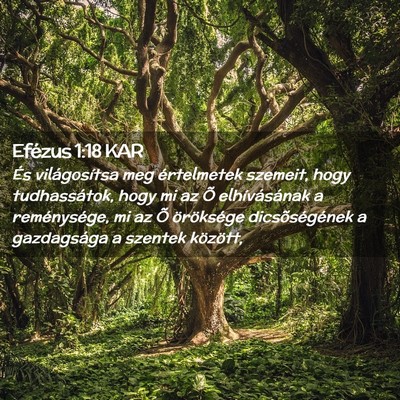 Picture 02 - Efézus 1:18 KAR - És világosítsa meg értelmetek szemeit, hogy - Bible Verse Picture