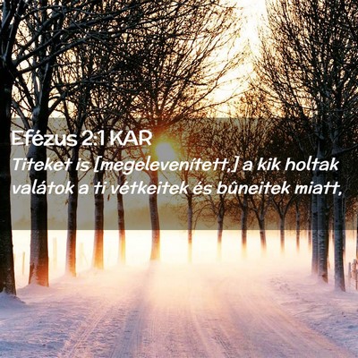 Picture 02 - Efézus 2:1 KAR - Titeket is [megelevenített,] a kik holtak - Bible Verse Picture
