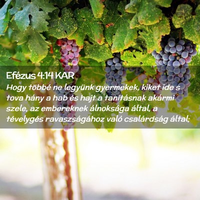 Picture 02 - Efézus 4:14 KAR - Hogy többé ne legyünk gyermekek, kiket ide s - Bible Verse Picture