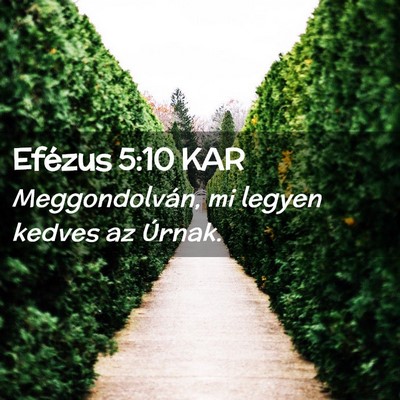 Picture 02 - Efézus 5:10 KAR - Meggondolván, mi legyen kedves az - Bible Verse Picture