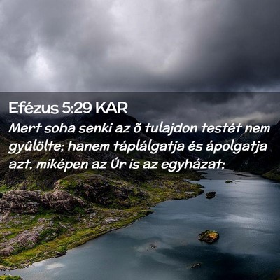 Picture 02 - Efézus 5:29 KAR - Mert soha senki az õ tulajdon testét nem - Bible Verse Picture