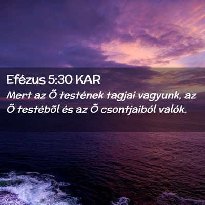 Picture 02 - Efézus 5:30 KAR - Mert az Õ testének tagjai vagyunk, az Õ - Bible Verse Picture