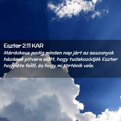 Picture 02 - Eszter 2:11 KAR - Márdokeus pedig minden nap járt az asszonyok - Bible Verse Picture