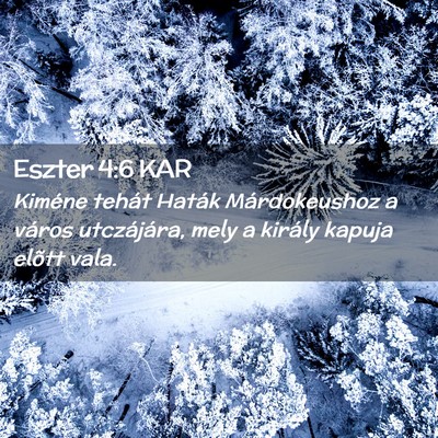 Picture 02 - Eszter 4:6 KAR - Kiméne tehát Haták Márdokeushoz a város - Bible Verse Picture