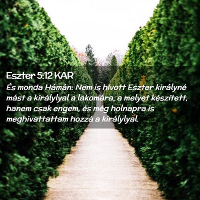 Picture 02 - Eszter 5:12 KAR - És monda Hámán: Nem is hívott Eszter - Bible Verse Picture