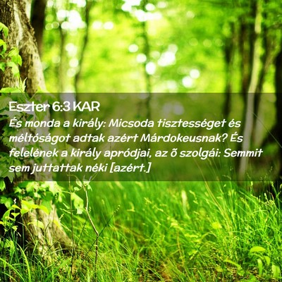 Picture 02 - Eszter 6:3 KAR - És monda a király: Micsoda tisztességet és - Bible Verse Picture