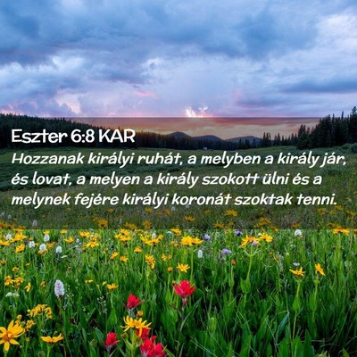 Picture 02 - Eszter 6:8 KAR - Hozzanak királyi ruhát, a melyben a király - Bible Verse Picture