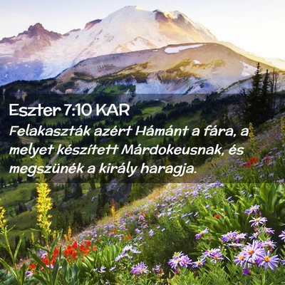 Picture 02 - Eszter 7:10 KAR - Felakaszták azért Hámánt a fára, a melyet - Bible Verse Picture