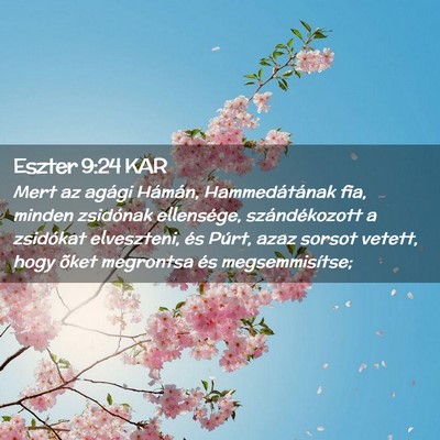Picture 02 - Eszter 9:24 KAR - Mert az agági Hámán, Hammedátának fia, - Bible Verse Picture