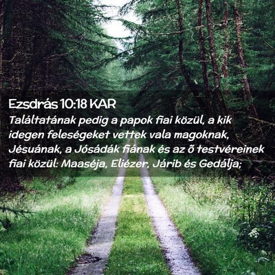 Picture 02 - Ezsdrás 10:18 KAR - Találtatának pedig a papok fiai közül, a kik - Bible Verse Picture