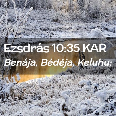 Picture 02 - Ezsdrás 10:35 KAR - Benája, Bédéja, - Bible Verse Picture