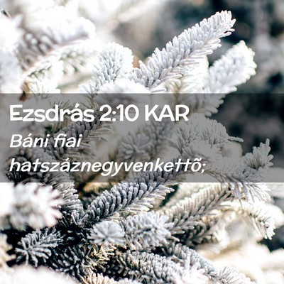 Picture 02 - Ezsdrás 2:10 KAR - Báni fiai - Bible Verse Picture