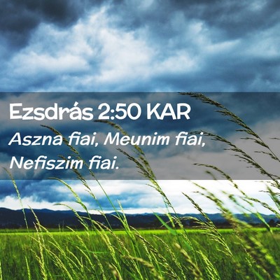 Picture 02 - Ezsdrás 2:50 KAR - Aszna fiai, Meunim fiai, Nefiszim - Bible Verse Picture