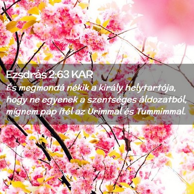 Picture 02 - Ezsdrás 2:63 KAR - És megmondá nékik a király helytartója, hogy - Bible Verse Picture