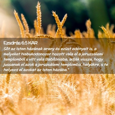 Picture 02 - Ezsdrás 6:5 KAR - Sõt az Isten házának arany és ezüst - Bible Verse Picture