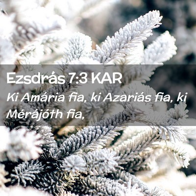 Picture 02 - Ezsdrás 7:3 KAR - Ki Amária fia, ki Azariás fia, ki Mérájóth - Bible Verse Picture