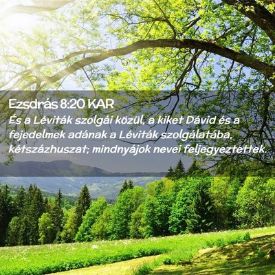 Picture 02 - Ezsdrás 8:20 KAR - És a Léviták szolgái közül, a kiket Dávid - Bible Verse Picture