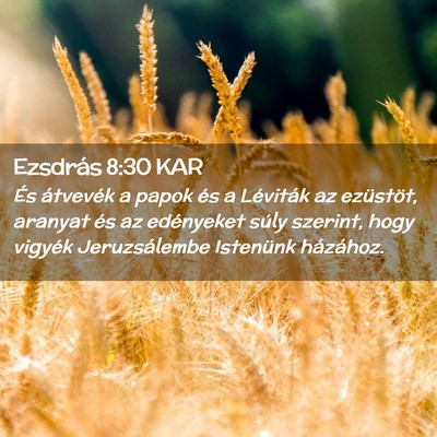 Picture 02 - Ezsdrás 8:30 KAR - És átvevék a papok és a Léviták az - Bible Verse Picture
