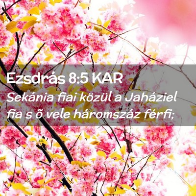 Picture 02 - Ezsdrás 8:5 KAR - Sekánia fiai közül a Jaháziel fia s õ vele - Bible Verse Picture