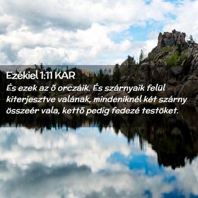 Picture 02 - Ezékiel 1:11 KAR - És ezek az õ orczáik. És szárnyaik felül - Bible Verse Picture