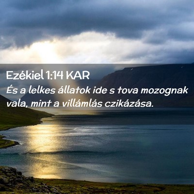 Picture 02 - Ezékiel 1:14 KAR - És a lelkes állatok ide s tova mozognak vala, - Bible Verse Picture