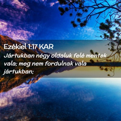 Picture 02 - Ezékiel 1:17 KAR - Jártukban négy oldaluk felé mentek vala; meg - Bible Verse Picture