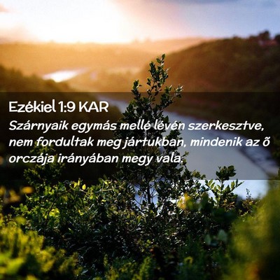Picture 02 - Ezékiel 1:9 KAR - Szárnyaik egymás mellé lévén szerkesztve, - Bible Verse Picture