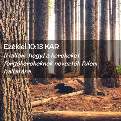 Picture 02 - Ezékiel 10:13 KAR - [Hallám, hogy] a kerekeket forgókerekeknek - Bible Verse Picture
