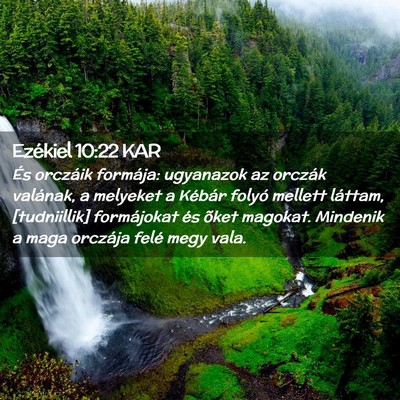 Picture 02 - Ezékiel 10:22 KAR - És orczáik formája: ugyanazok az orczák - Bible Verse Picture