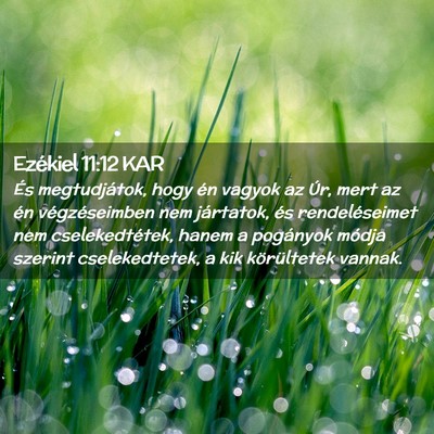 Picture 02 - Ezékiel 11:12 KAR - És megtudjátok, hogy én vagyok az Úr, mert az - Bible Verse Picture
