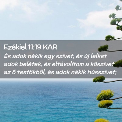 Picture 02 - Ezékiel 11:19 KAR - És adok nékik egy szívet, és új lelket adok - Bible Verse Picture