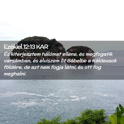 Picture 02 - Ezékiel 12:13 KAR - És kiterjesztem hálómat ellene, és megfogatik - Bible Verse Picture