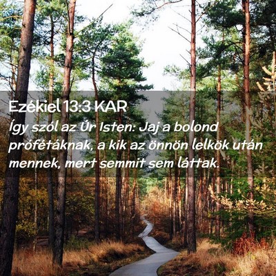 Picture 02 - Ezékiel 13:3 KAR - Így szól az Úr Isten: Jaj a bolond - Bible Verse Picture