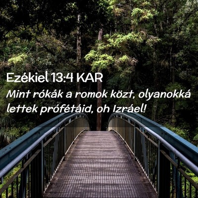 Picture 02 - Ezékiel 13:4 KAR - Mint rókák a romok közt, olyanokká lettek - Bible Verse Picture
