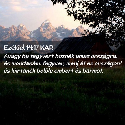 Picture 02 - Ezékiel 14:17 KAR - Avagy ha fegyvert hoznék amaz országra, és - Bible Verse Picture
