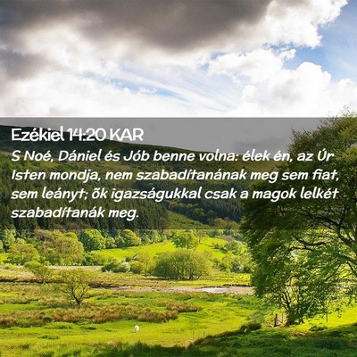 Picture 02 - Ezékiel 14:20 KAR - S Noé, Dániel és Jób benne volna: élek én, - Bible Verse Picture
