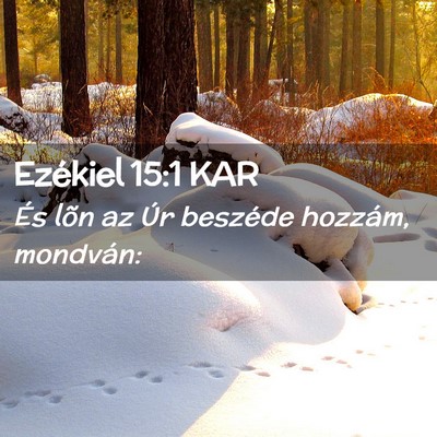Picture 02 - Ezékiel 15:1 KAR - És lõn az Úr beszéde hozzám, - Bible Verse Picture