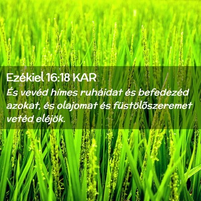 Picture 02 - Ezékiel 16:18 KAR - És vevéd hímes ruháidat és befedezéd - Bible Verse Picture
