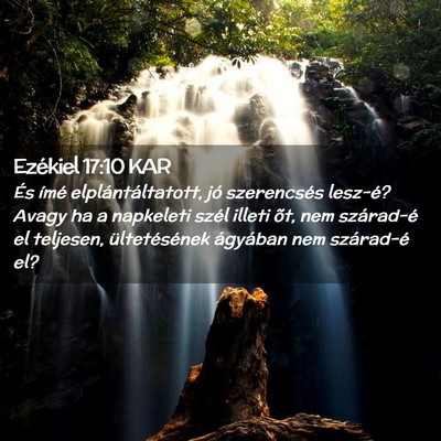 Picture 02 - Ezékiel 17:10 KAR - És ímé elplántáltatott, jó szerencsés - Bible Verse Picture