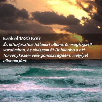 Picture 02 - Ezékiel 17:20 KAR - És kiterjesztem hálómat ellene, és megfogatik - Bible Verse Picture