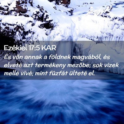Picture 02 - Ezékiel 17:5 KAR - És võn annak a földnek magvából, és elveté - Bible Verse Picture