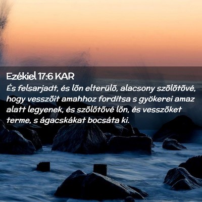 Picture 02 - Ezékiel 17:6 KAR - És felsarjadt, és lõn elterülõ, alacsony - Bible Verse Picture