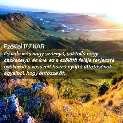 Picture 02 - Ezékiel 17:7 KAR - És vala más nagy szárnyú, soktollú nagy - Bible Verse Picture