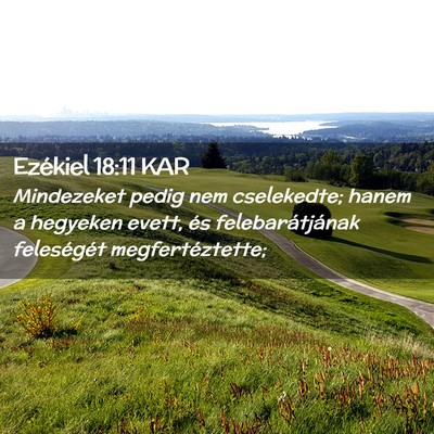 Picture 02 - Ezékiel 18:11 KAR - Mindezeket pedig nem cselekedte; hanem a hegyeken - Bible Verse Picture