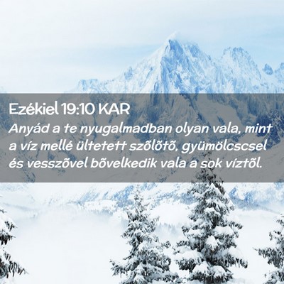 Picture 02 - Ezékiel 19:10 KAR - Anyád a te nyugalmadban olyan vala, mint a víz - Bible Verse Picture