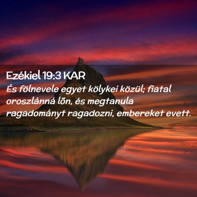 Picture 02 - Ezékiel 19:3 KAR - És fölnevele egyet kölykei közül; fiatal - Bible Verse Picture